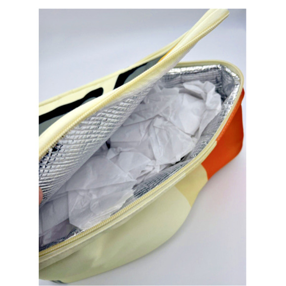 Disney World Parks Monorail Lunch Box Tote Bag Cool Bag Chill Insulated BNWT - Picture 10 of 14